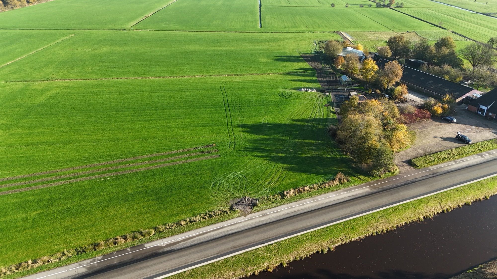 Fochteloërveen: hoogveen en kraanvogels