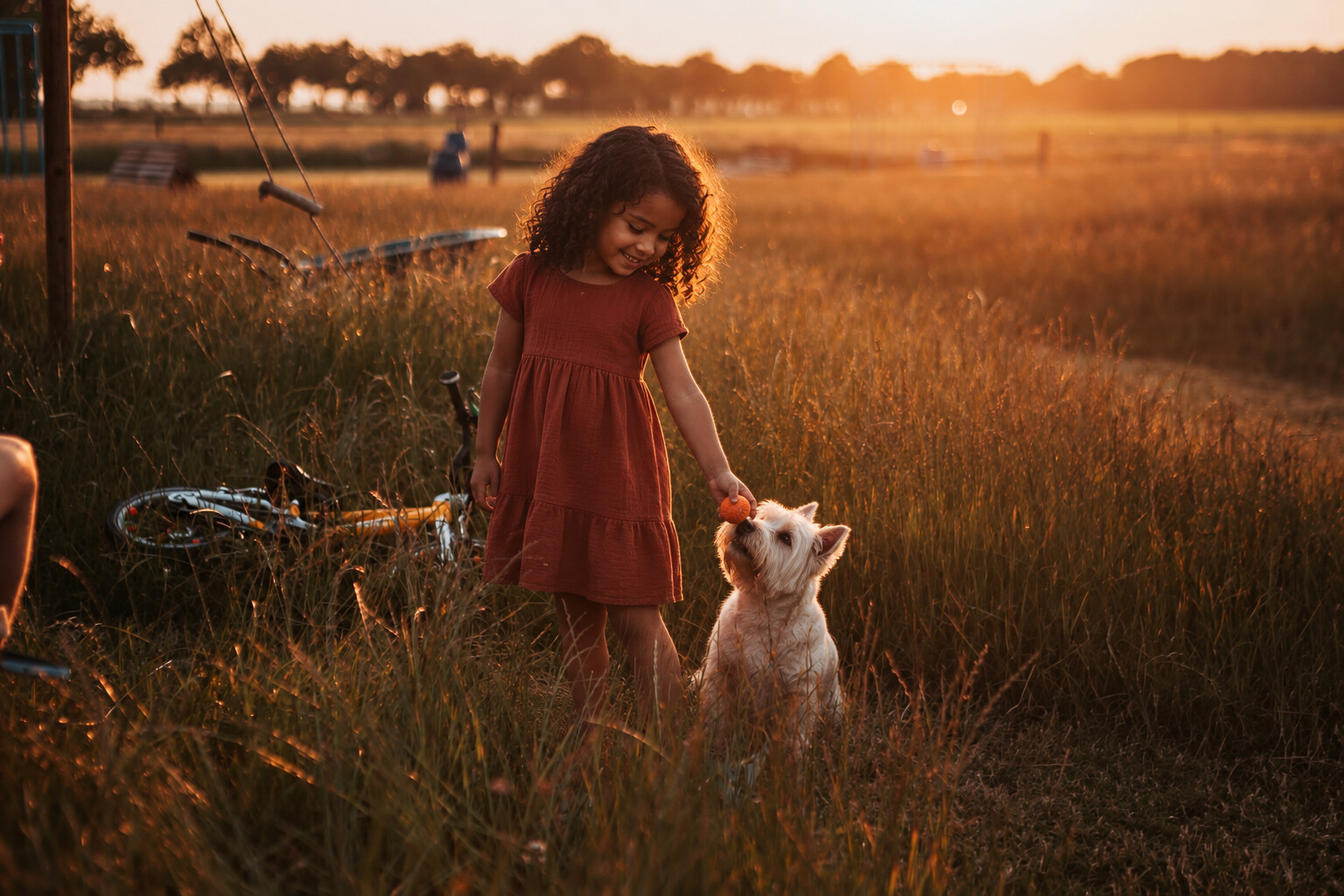 Kind en hond op het erf