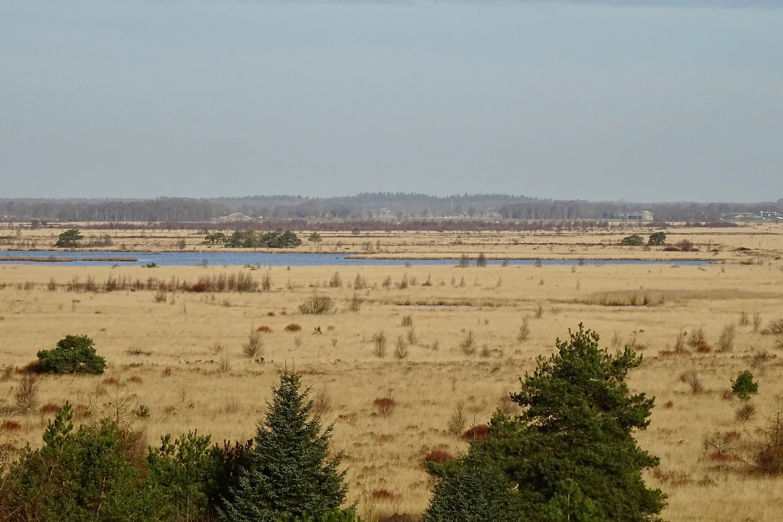 Udsigt over Fochteloërveen fra udsigtstårnet De Zeven